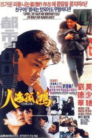 人海孤鸿 封面