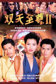 双天至尊 封面