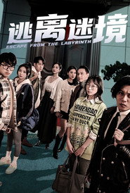 逃离迷境 封面