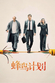 蜂鸟计划 封面