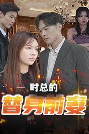 时总的替身前妻 封面