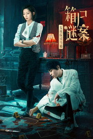 女侦探司马楠之箱尸谜案 封面