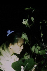 Co mo li 封面