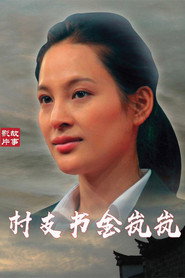 村支书金岚岚 封面