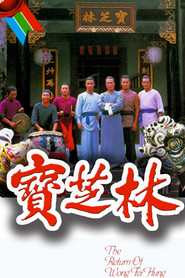 宝芝林 封面