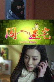 闯入迷宅 封面