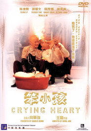 笨小孩 封面