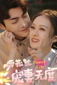 傅先生宠妻无度 封面