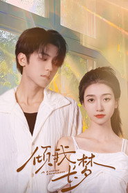 倾我长梦 封面