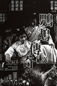 鸚鵡傳奇 封面