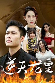 逆天龙皇 封面