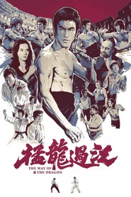猛龙过江 封面