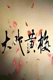 大戏黄梅 封面