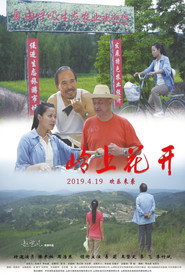 岭上花开 封面