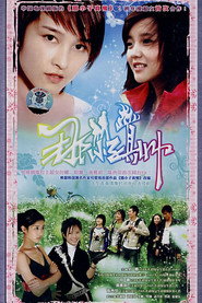 那小子真帅 封面