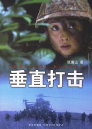 垂直打击 封面