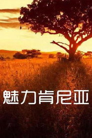魅力肯尼亚 封面