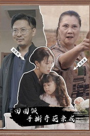团圆饭手撕奇葩亲戚 封面