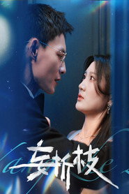 妄折枝 封面