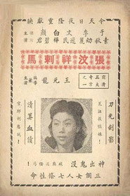 大侠复仇记 封面