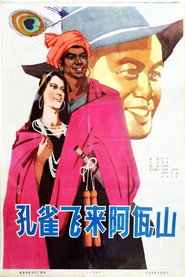 孔雀飞来阿佤山 封面