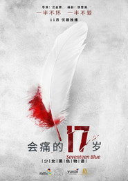 会痛的17岁 封面