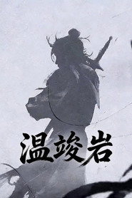 温竣岩 封面