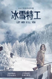 冰雪特工 封面
