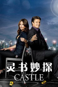 灵书妙探 封面