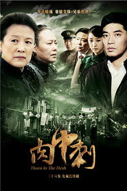 独刺 封面