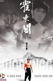 霍东阁 封面