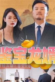 鉴宝龙婿 封面