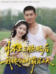 怀上三胞胎后,我被冷面村霸宠上天 封面