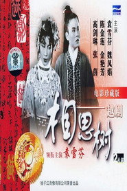 相思树 封面