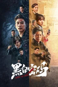 黑白密码 封面