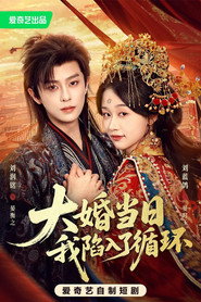 大婚当日我陷入了循环 封面