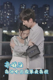 弃婚后,高冷女总裁攀我高枝 封面