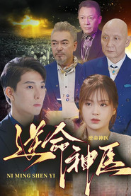 逆命神医 封面
