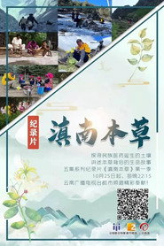 滇南本草 封面