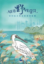 城市野性居民 封面