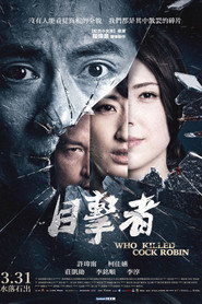 目击者之追凶 封面
