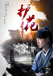 寻侠英雄传之护花 封面