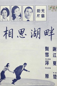 相思湖畔 封面