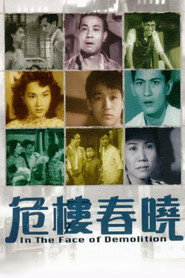 危楼春晓 封面