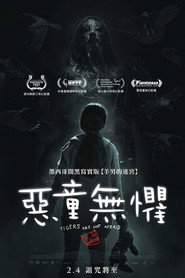 无惧之虎 封面