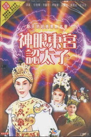 神眼东宫认太子 封面