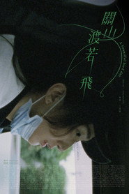 关山渡若飞 封面