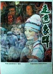 走进象群 封面