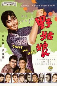 野姑娘 封面