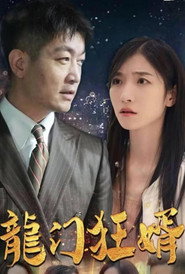 龙门狂婿 封面
